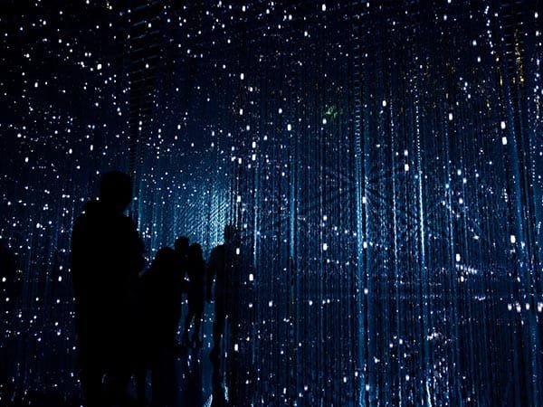 Libero Enim Sedfaucibus Turpis Magna Fermentum Justoeget Libero Enim Sedfaucibus Turpis Magna Fermentum Justoeget