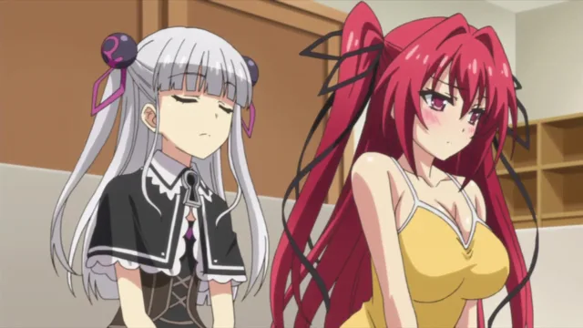 The Testament of Sister New Devil / anime like harem in the labyrinth of the other world