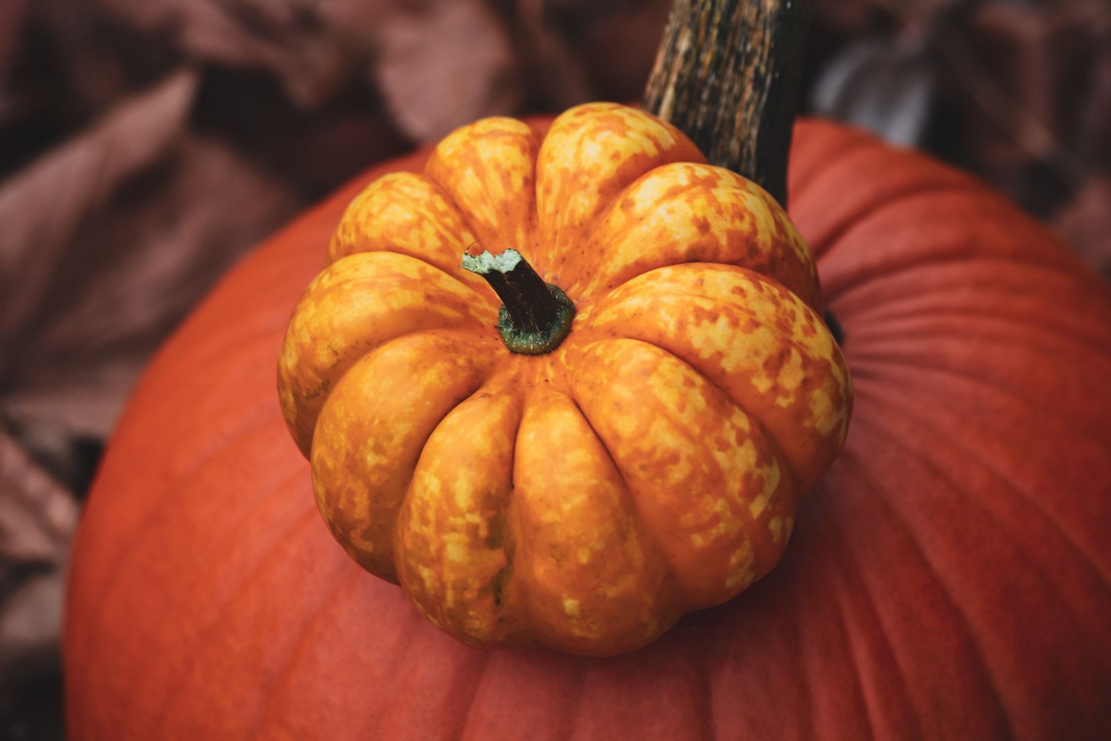 20 Happy October Quotes for a Fresh New Beginning