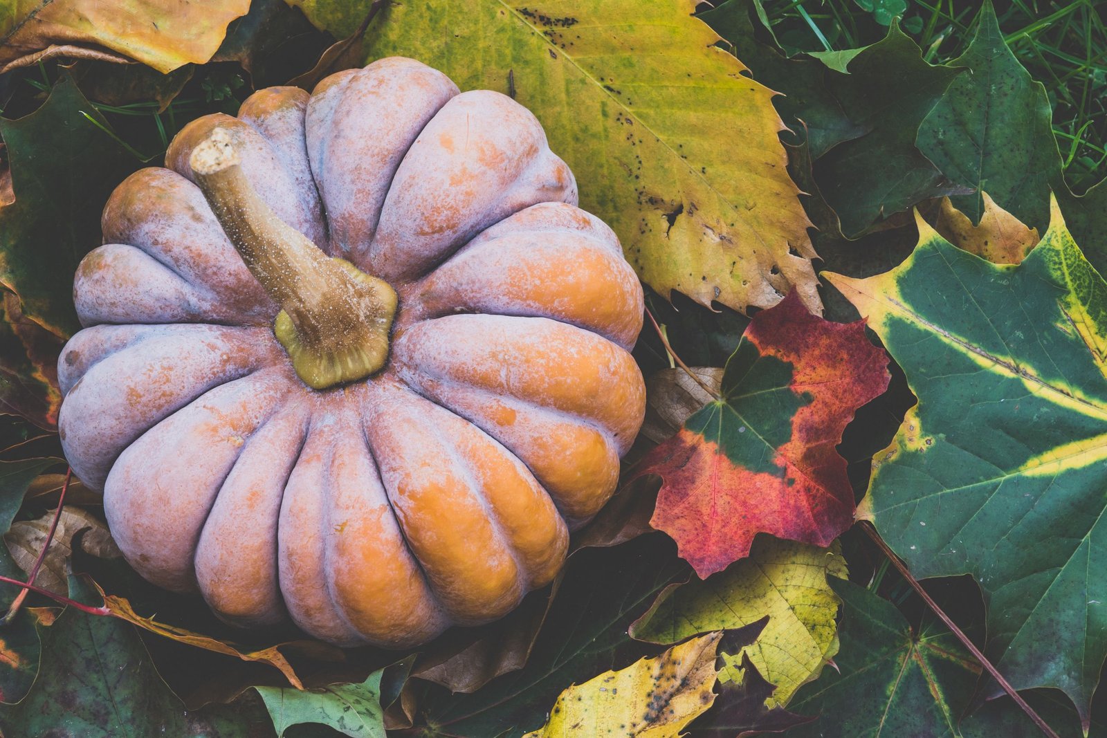 12 Welcome October Images and Quotes to Celebrate Fall