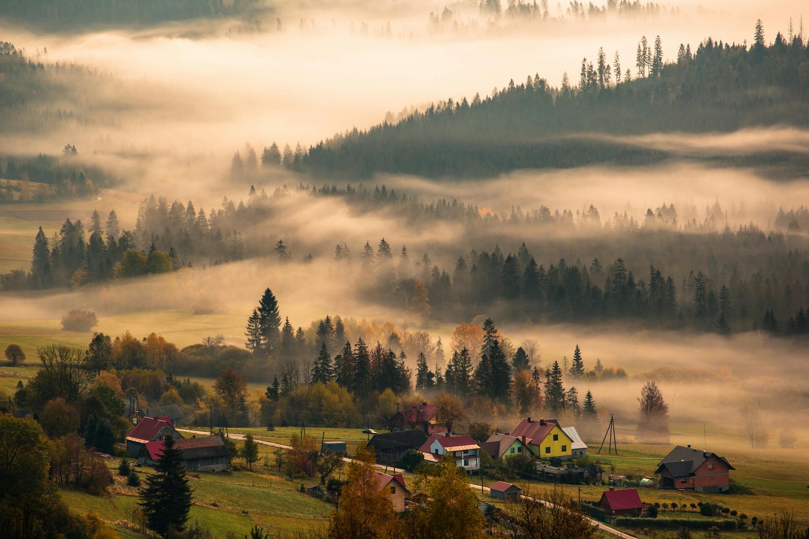 21 Short Aesthetic Positive Life Quotes That Feel Beautiful