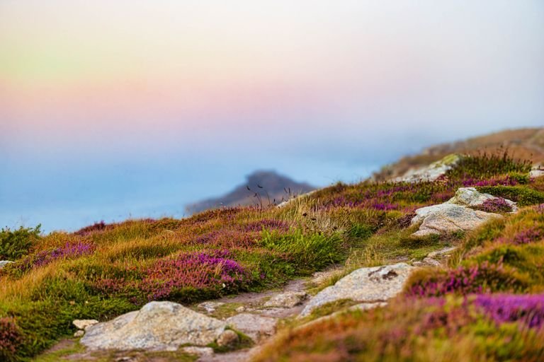 10 Rare Words and Quotes With Beautiful Meanings 10 Rare Words and Quotes With Beautiful Meanings