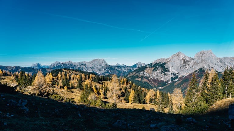 17 Positive Life Quotes About Love and Connection