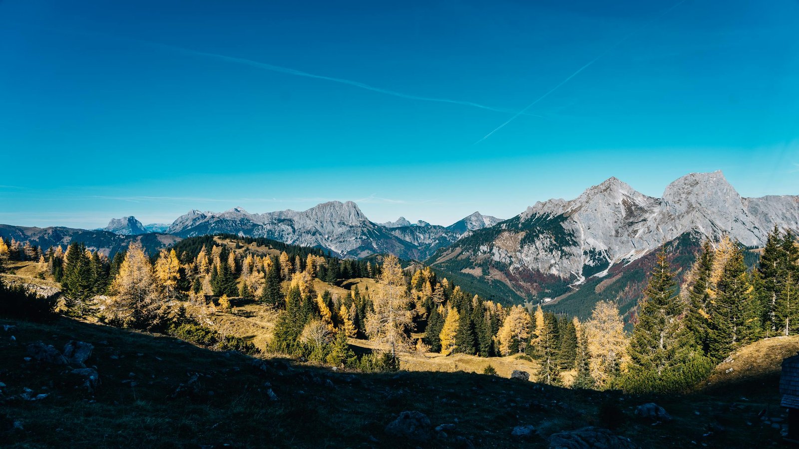 17 Positive Life Quotes About Love and Connection