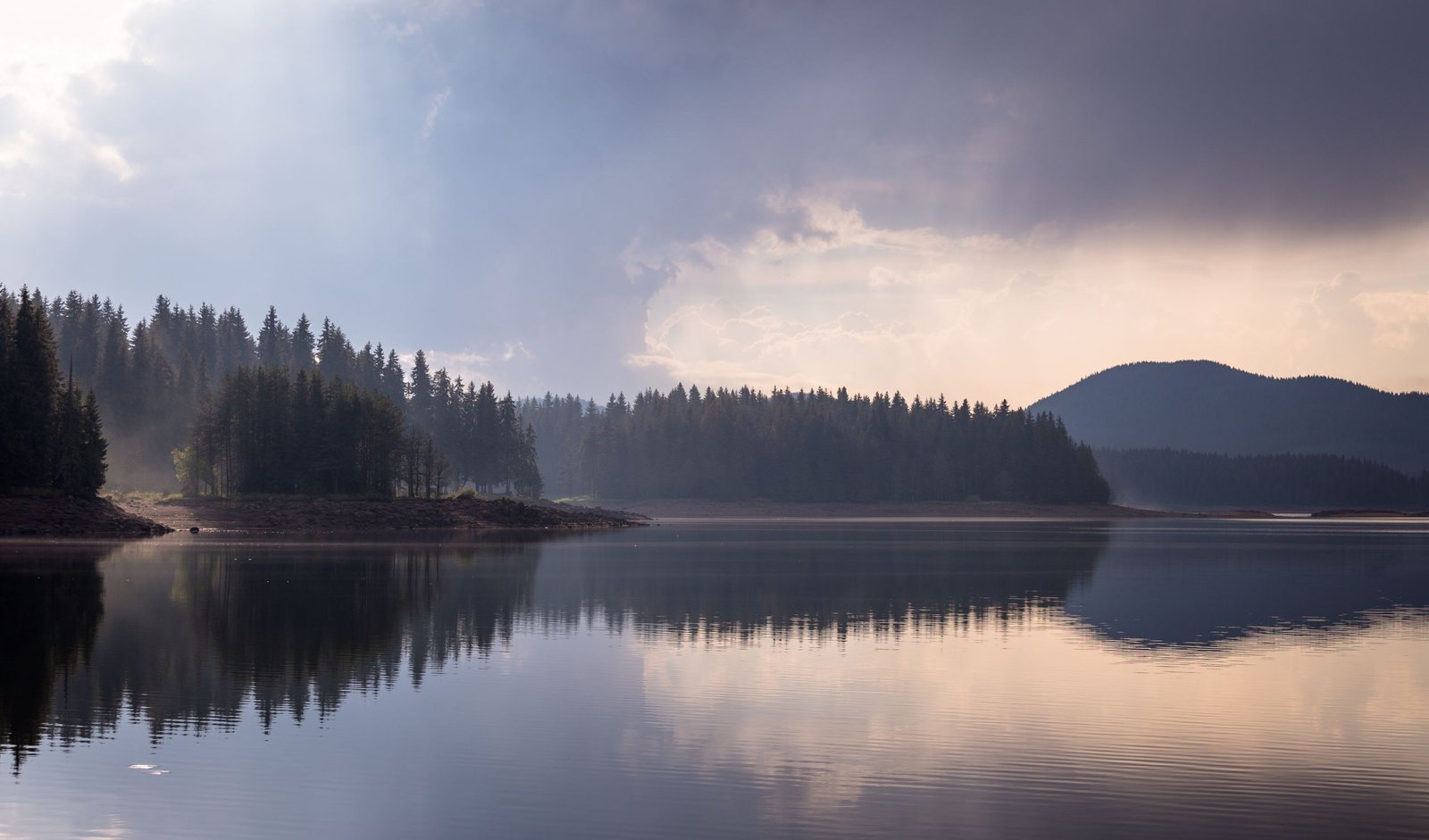 20 Daily Blessings Quotes for a Peaceful and Happy Life